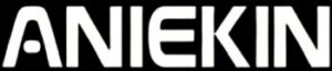ANIEKIN logo black